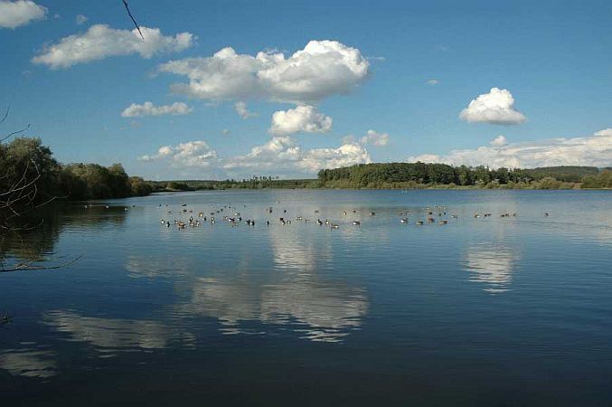 Bild Westhausen (Württemberg)