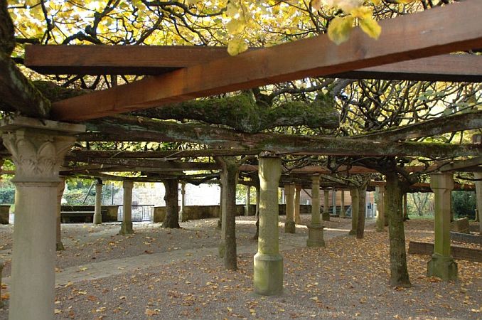 Bild Neuenstadt am Kocher