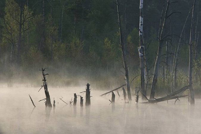 Bild Villingen-Schwenningen