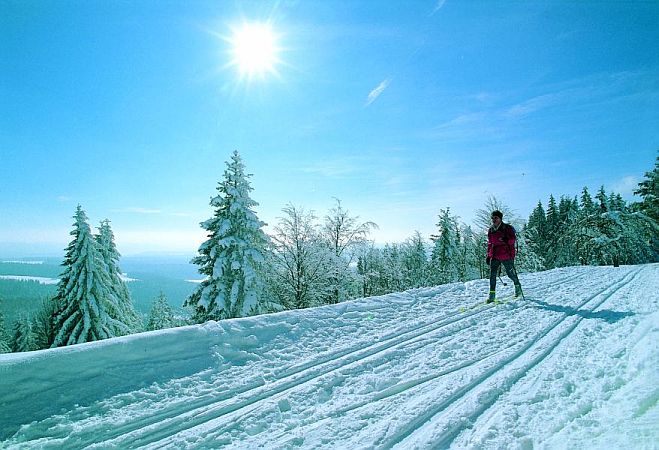 Bild Furtwangen im Schwarzwald
