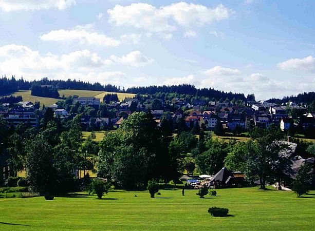 Bild Schönwald im Schwarzwald