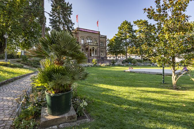 Bild Freiburg im Breisgau