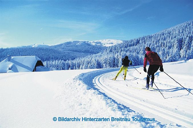 Bild Hinterzarten