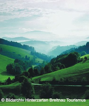 Bild Breitnau