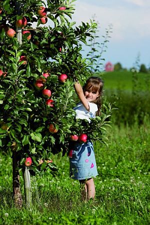 Bild Immenstaad am Bodensee