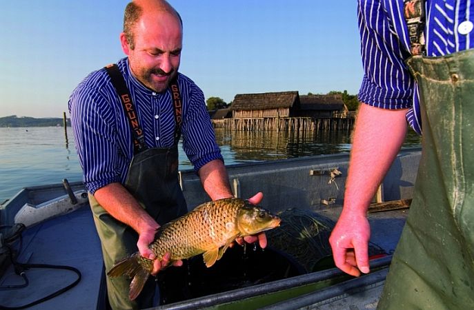 Bild Uhldingen-Mühlhofen