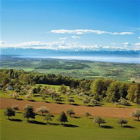 Bild Deggenhausertal