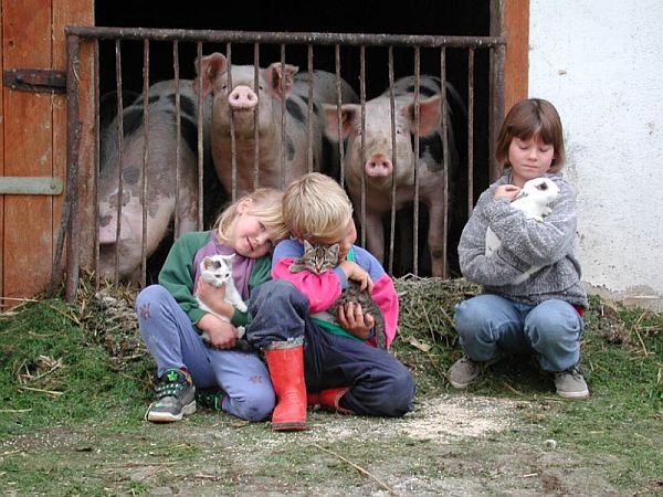 Bild Deggenhausertal