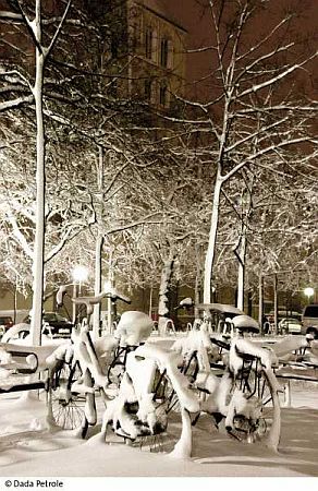 Bild Münster (Westfalen)