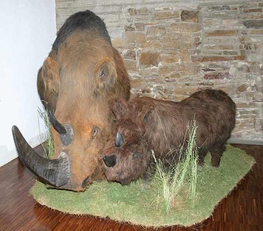 Bild Hagen (Westfalen)