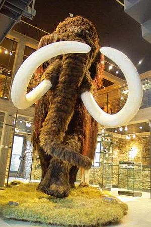 Bild Hagen (Westfalen)